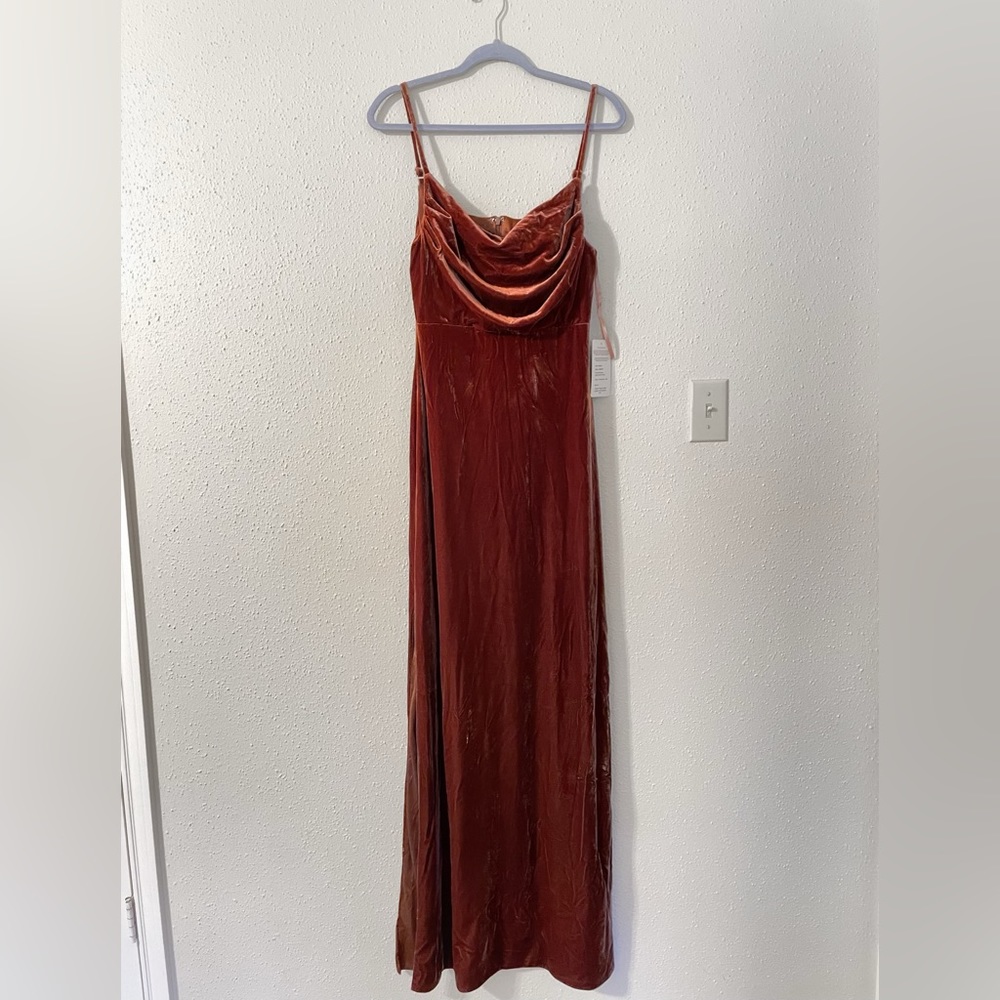 NWT Revelry Skye Velvet Dress